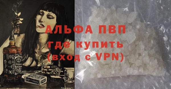 прущий лед Богданович
