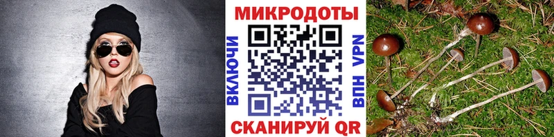 Псилоцибиновые грибы MAGIC MUSHROOMS  Светогорск 